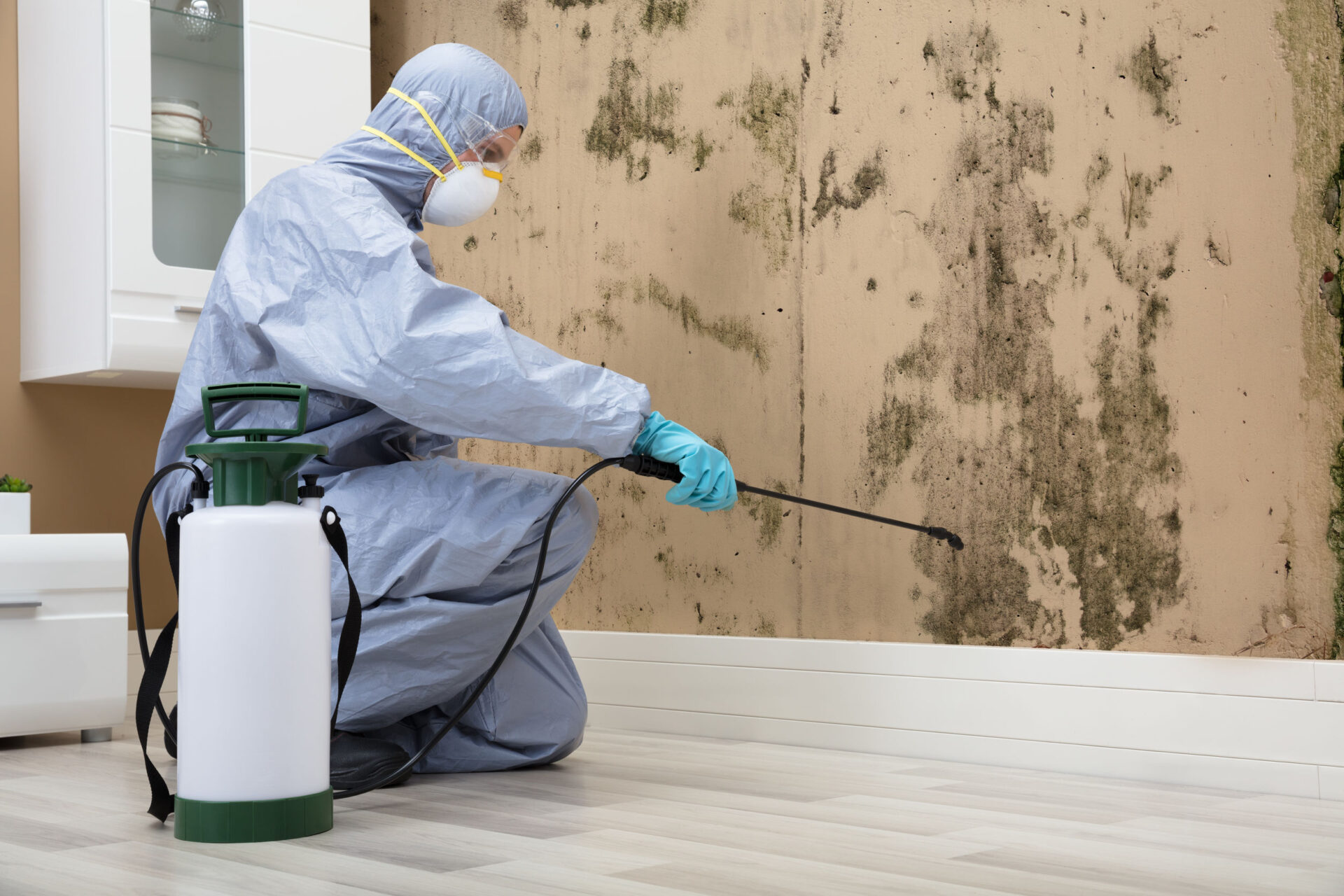 mould removal Penrith