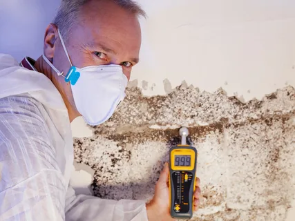 Mould Inspection Report Sydney, Sydney Mould Inspection