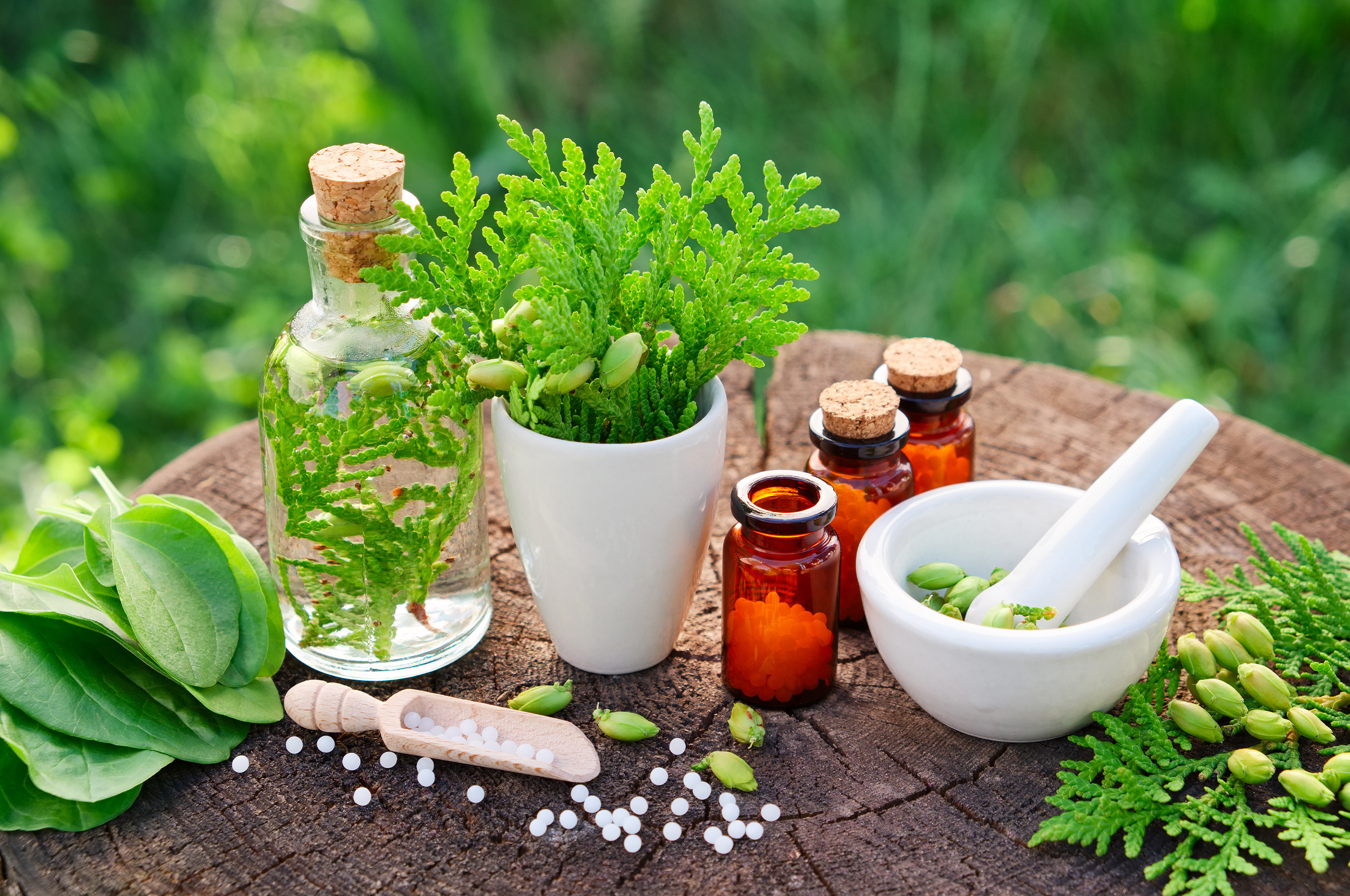 Naturopath East Malvern