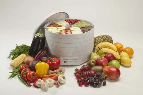 Ezidri Food Dehydrator