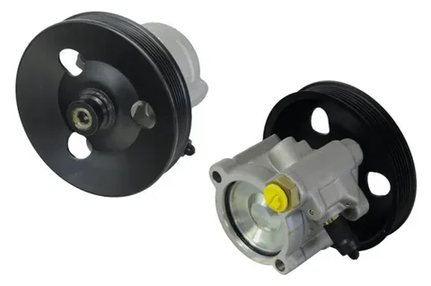 TS Astra Power Steering Pump